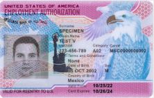Buy a US Employment Authorization card Online