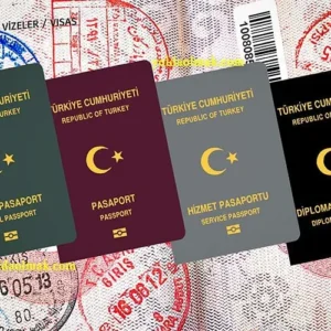 Türk Pasaportlarını Çevrimiçi Alın